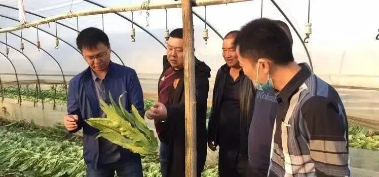 ng电子游戏(中国)官方网站