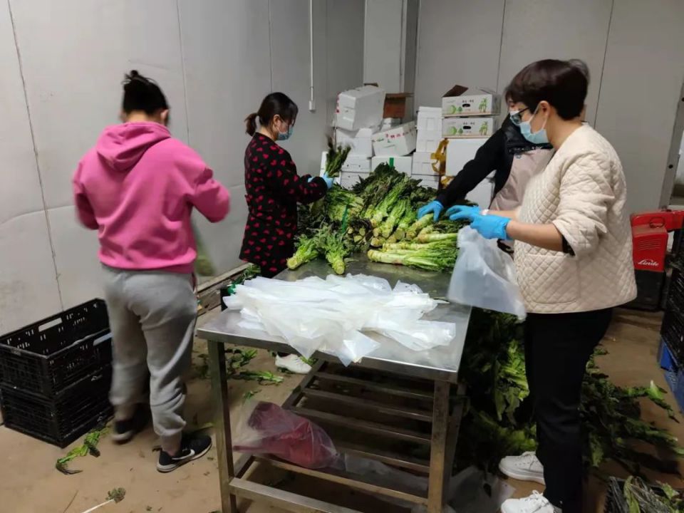 ng电子游戏(中国)官方网站