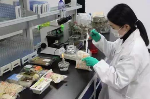 ng电子游戏(中国)官方网站