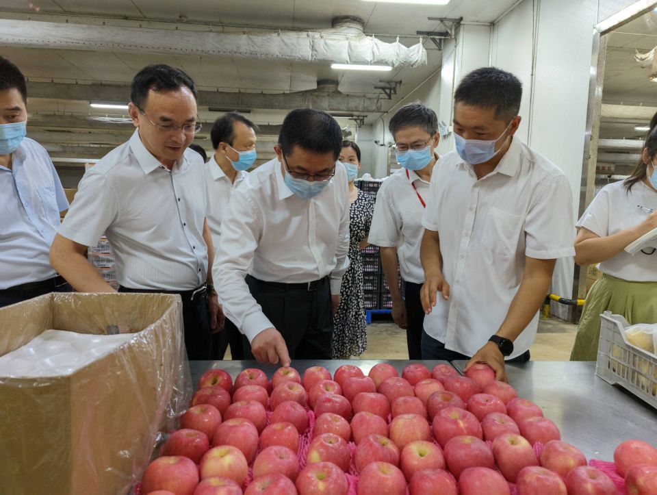 ng电子游戏(中国)官方网站