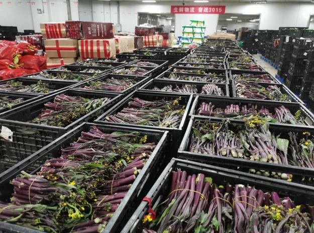 ng电子游戏(中国)官方网站