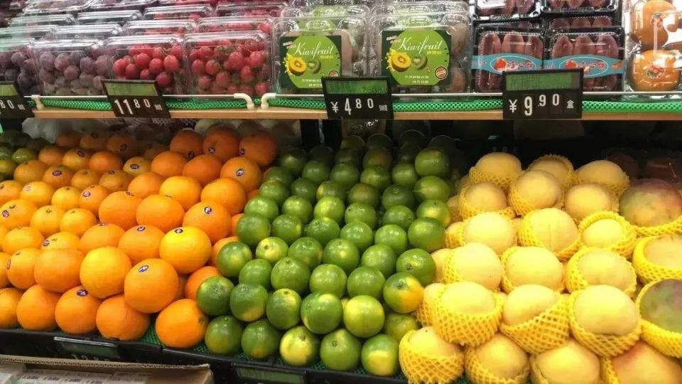 ng电子游戏(中国)官方网站