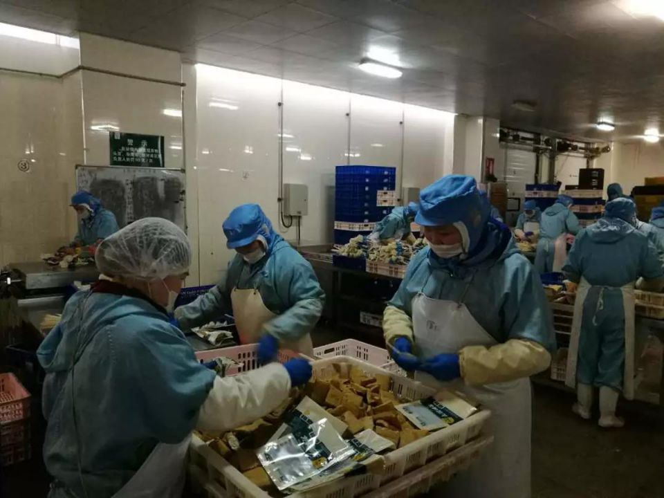 ng电子游戏(中国)官方网站