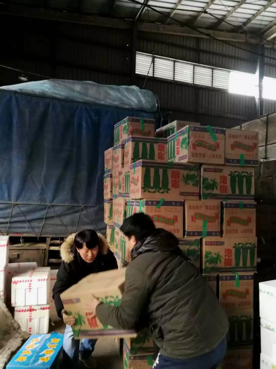 ng电子游戏(中国)官方网站