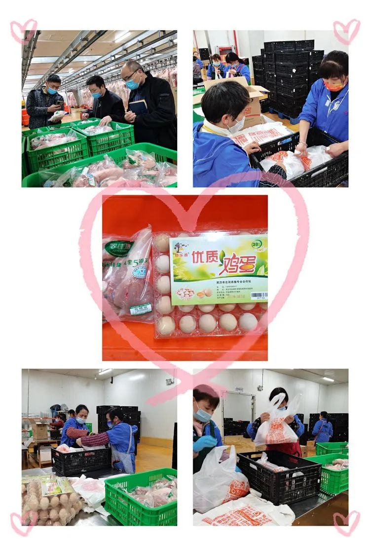 ng电子游戏(中国)官方网站