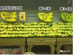 ng电子游戏(中国)官方网站