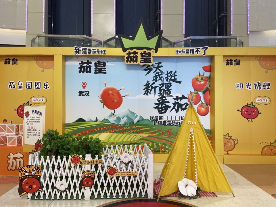 ng电子游戏(中国)官方网站