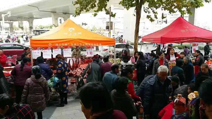 ng电子游戏(中国)官方网站