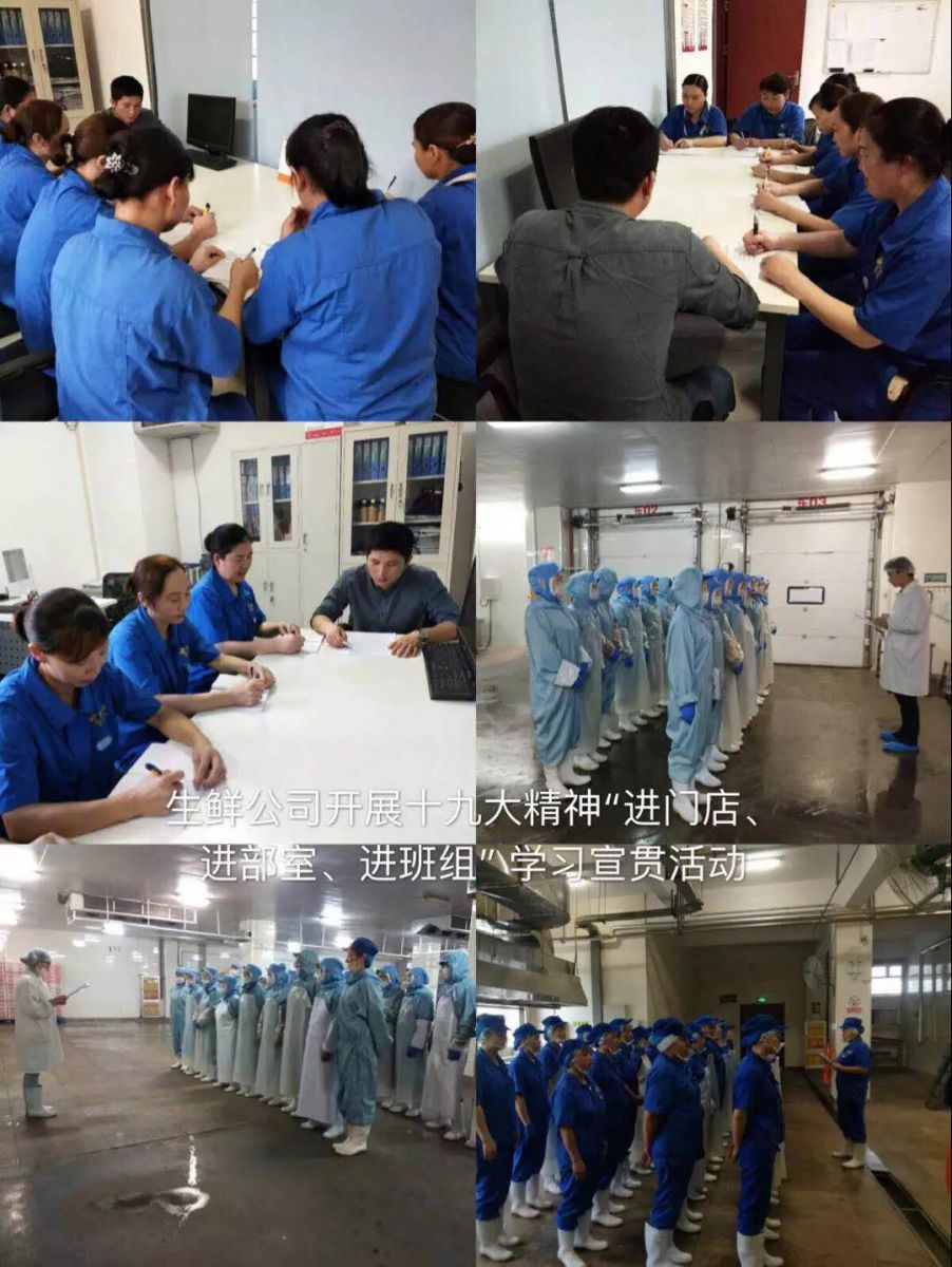 ng电子游戏(中国)官方网站