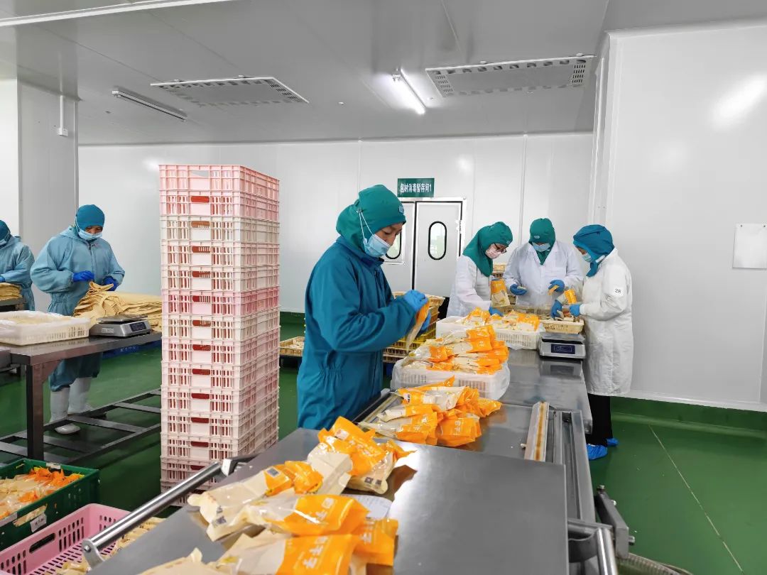 ng电子游戏(中国)官方网站