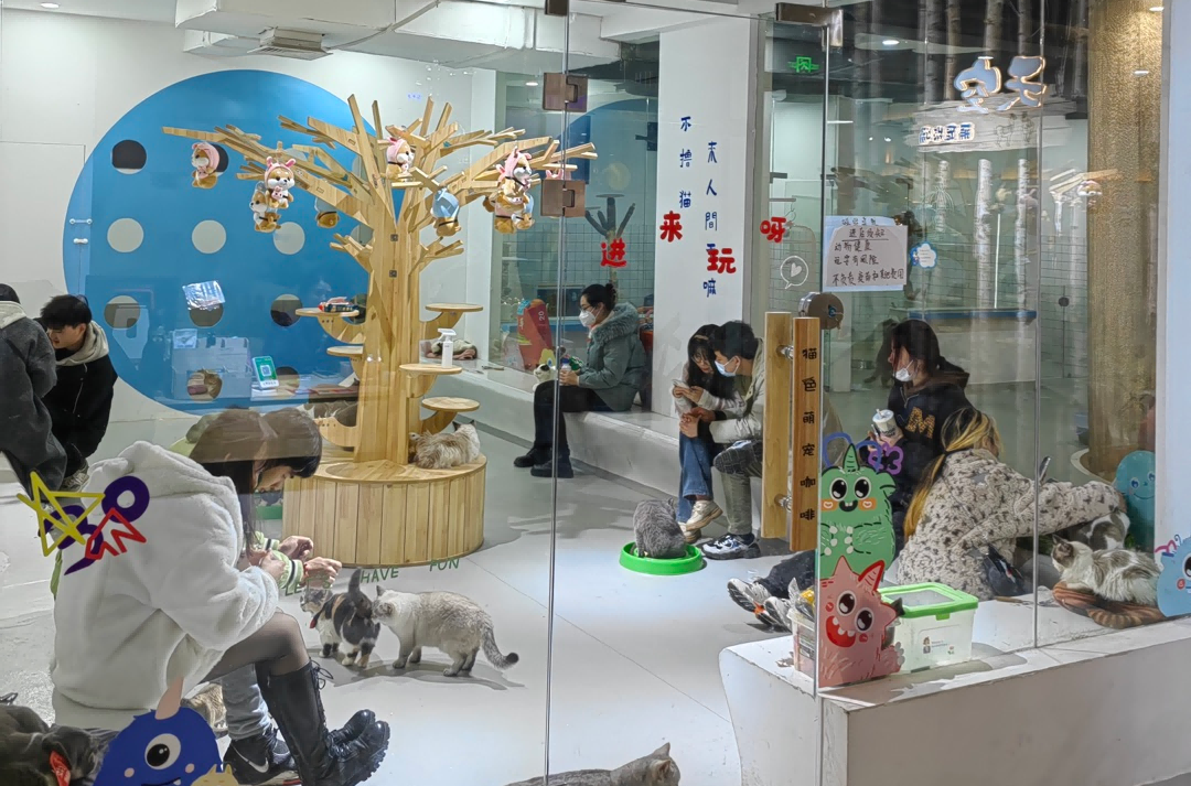 ng电子游戏(中国)官方网站