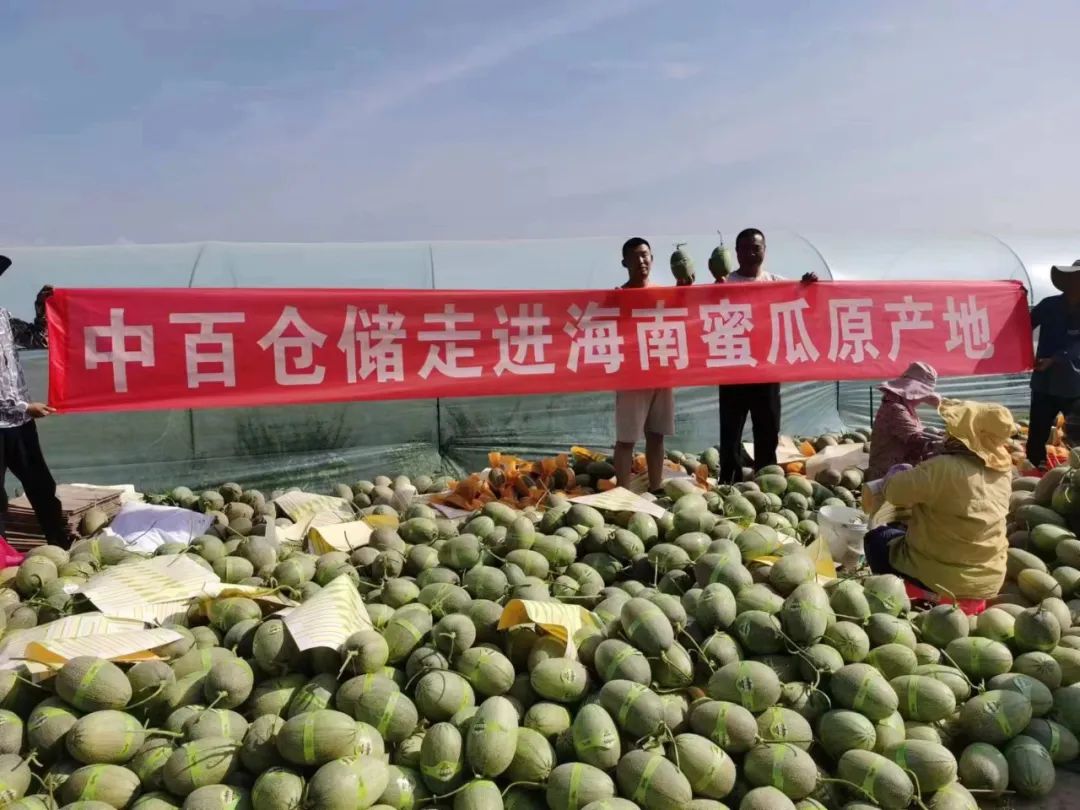 ng电子游戏(中国)官方网站