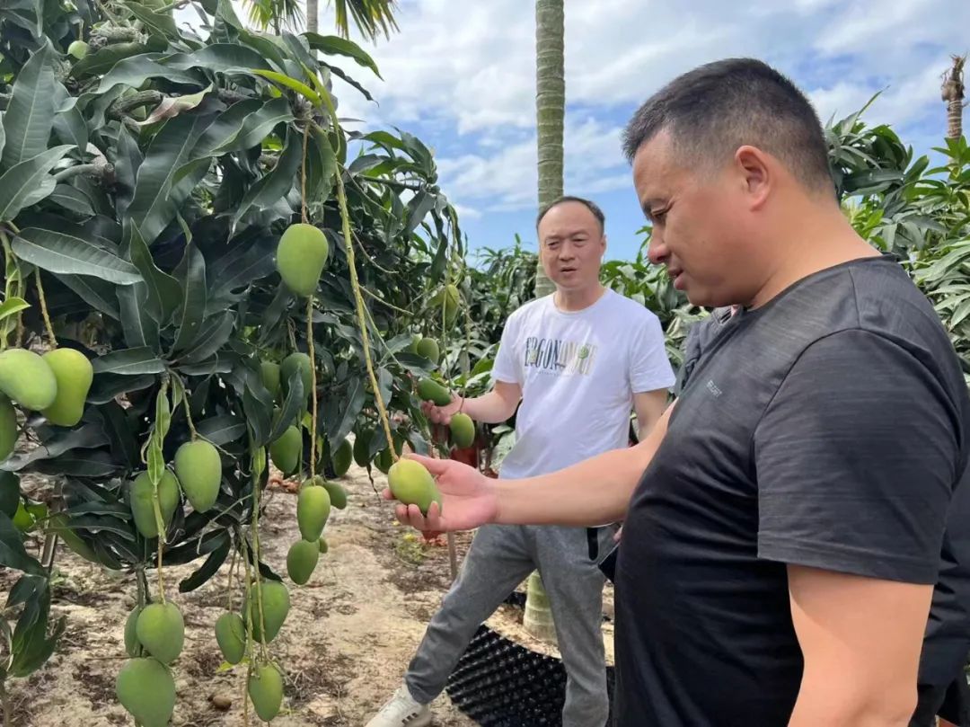 ng电子游戏(中国)官方网站