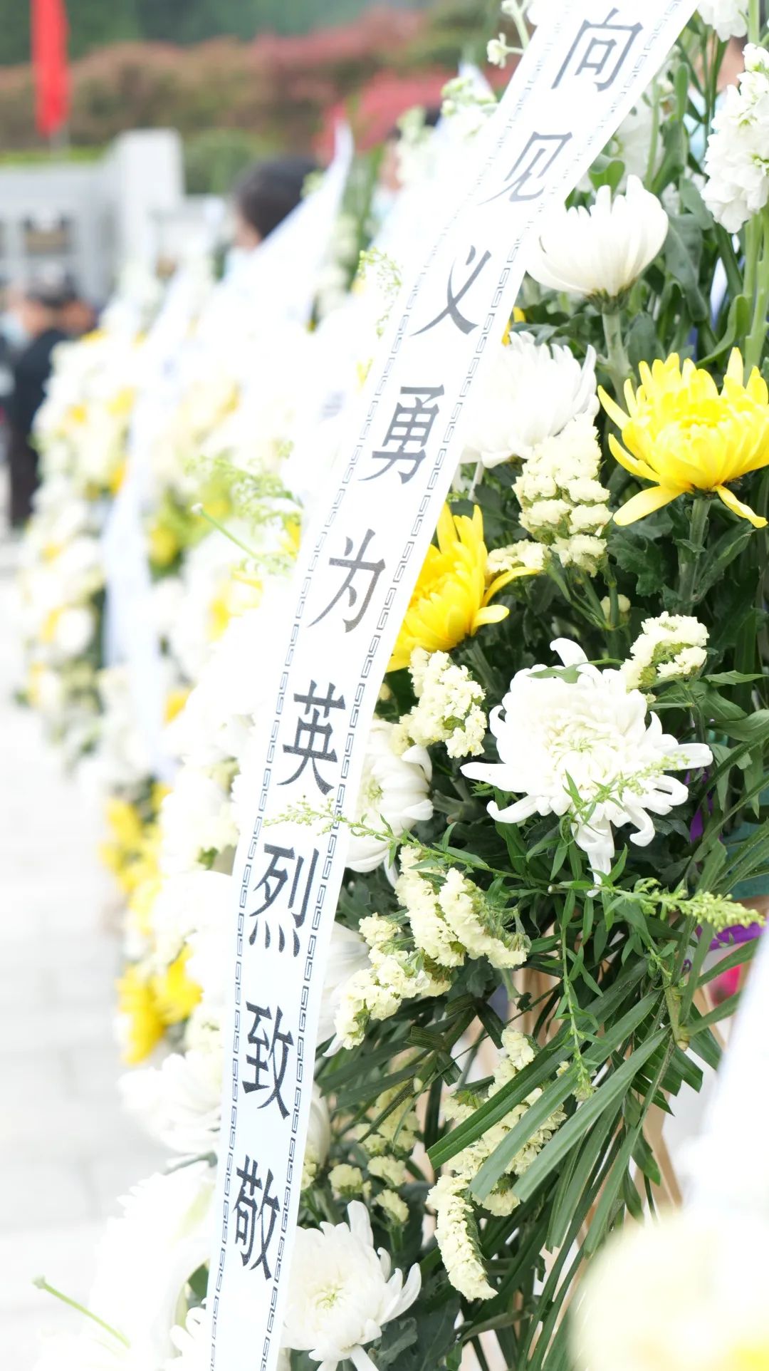 ng电子游戏(中国)官方网站