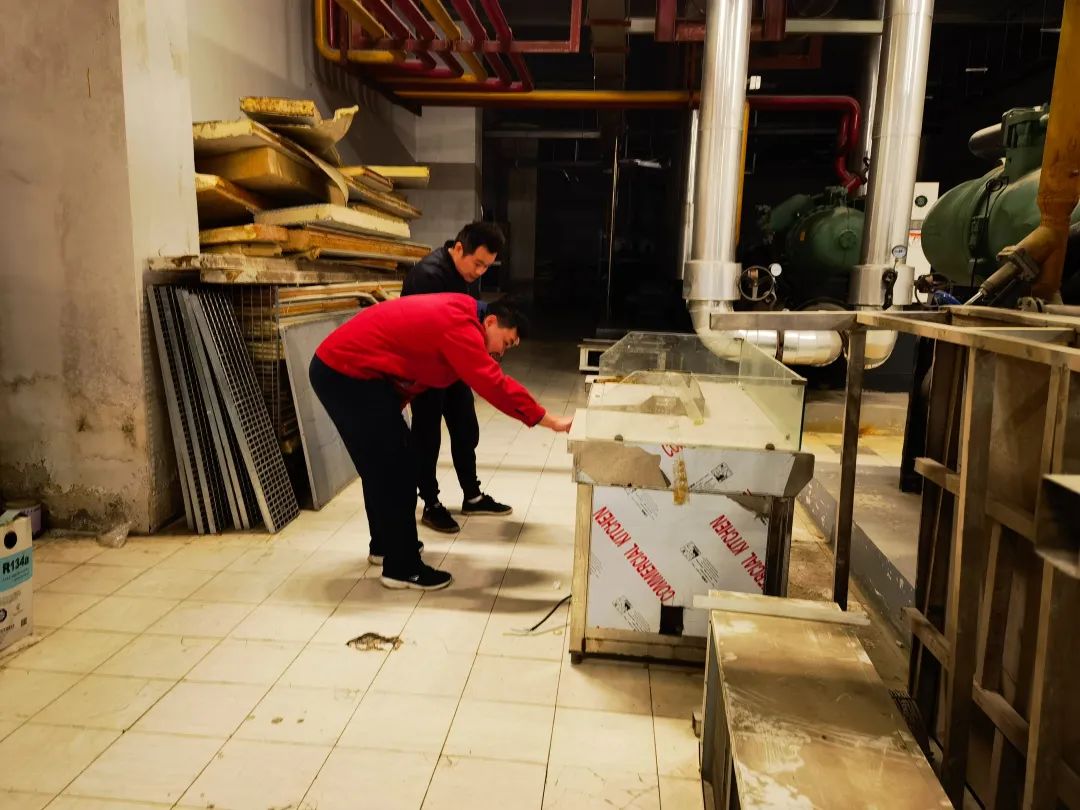 ng电子游戏(中国)官方网站