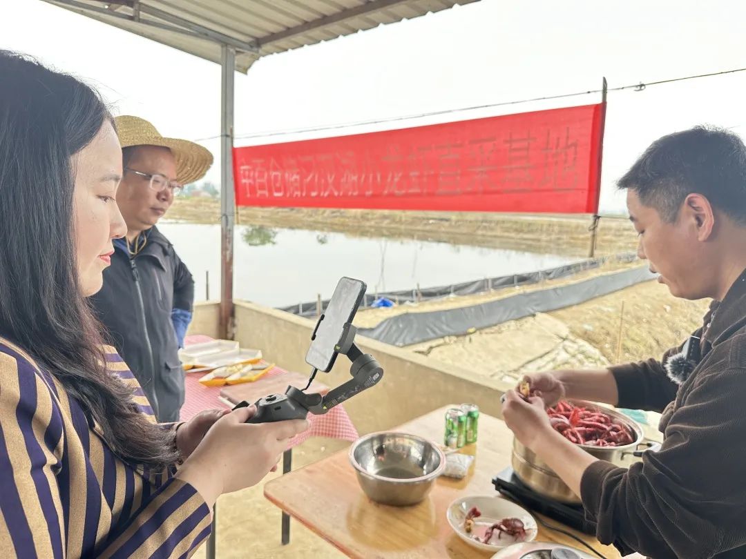 ng电子游戏(中国)官方网站