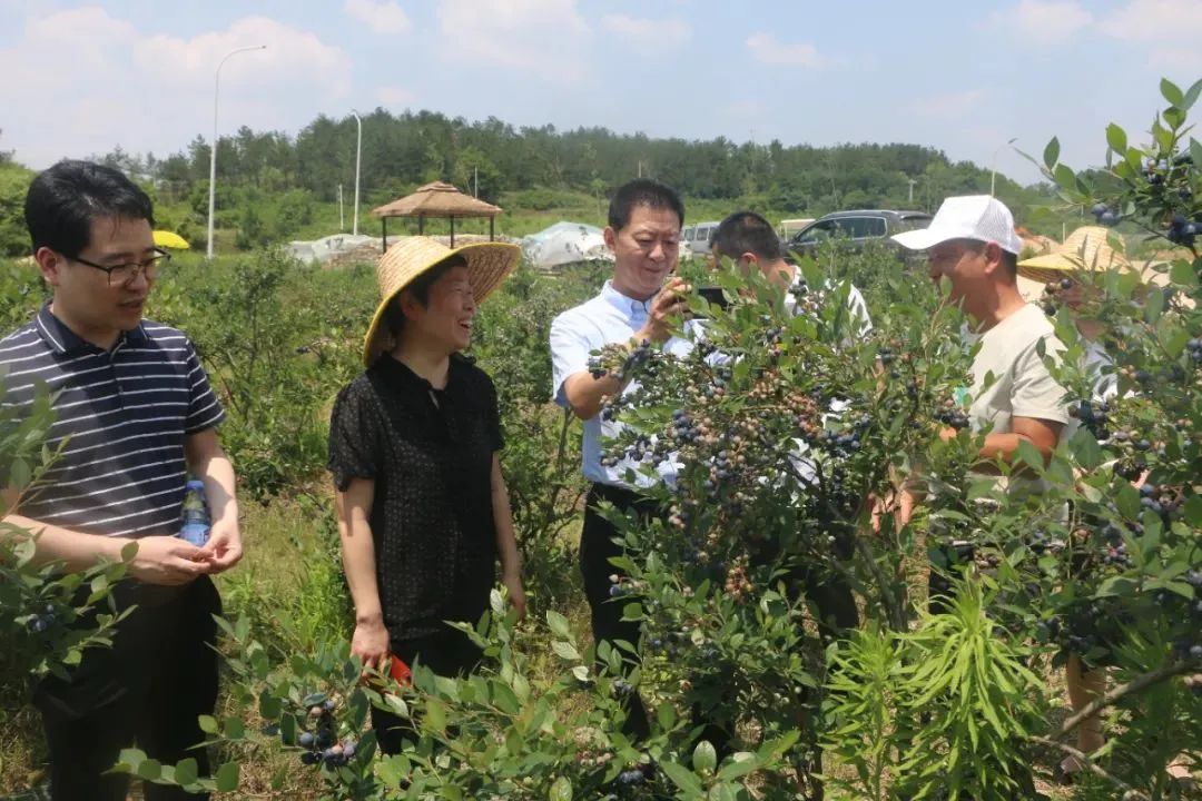 ng电子游戏(中国)官方网站