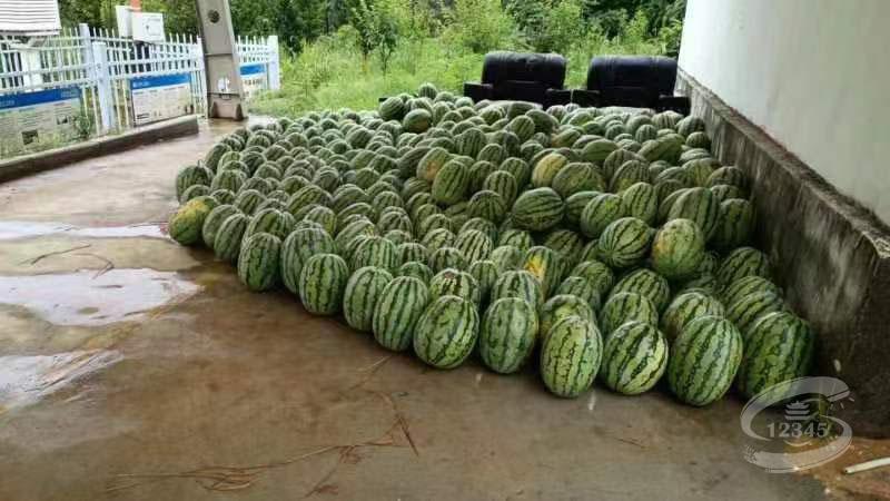 ng电子游戏(中国)官方网站