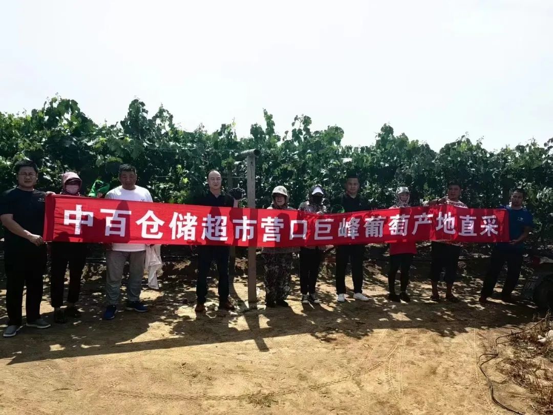 ng电子游戏(中国)官方网站