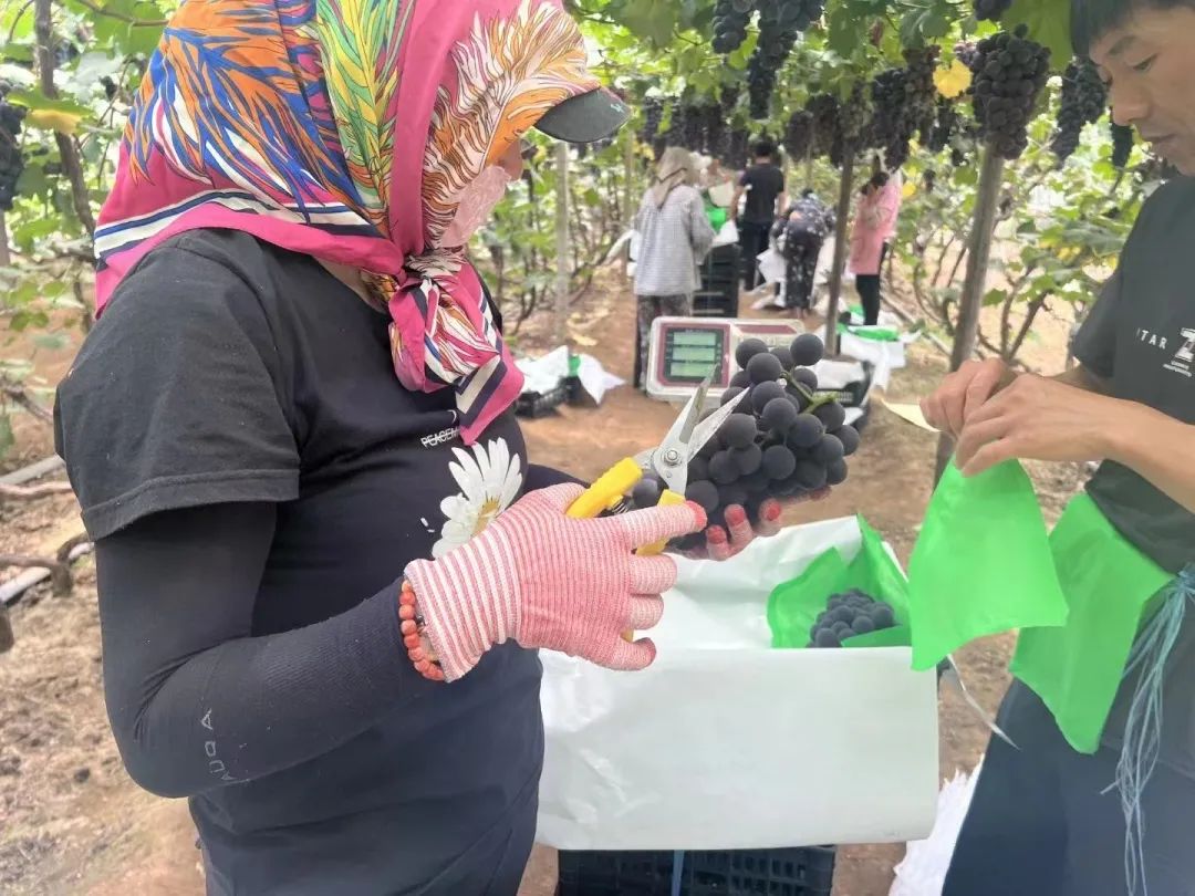 ng电子游戏(中国)官方网站