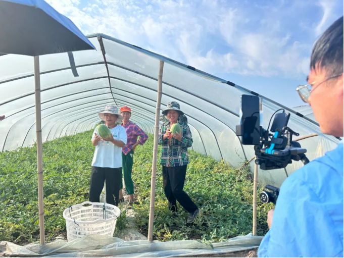 ng电子游戏(中国)官方网站