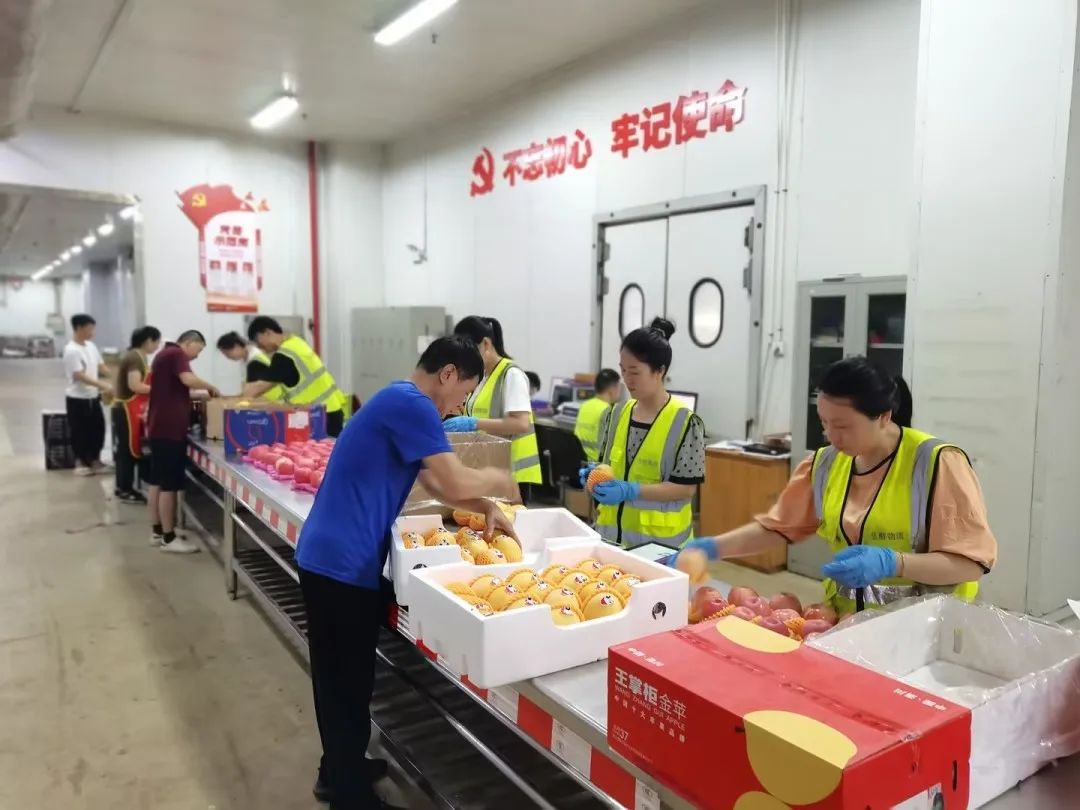 ng电子游戏(中国)官方网站