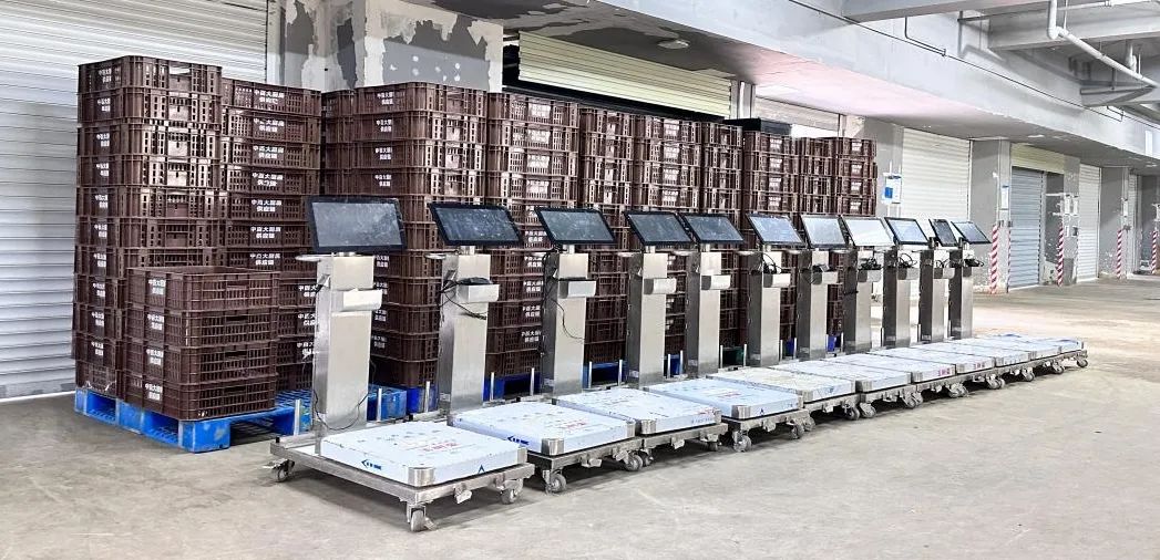 ng电子游戏(中国)官方网站