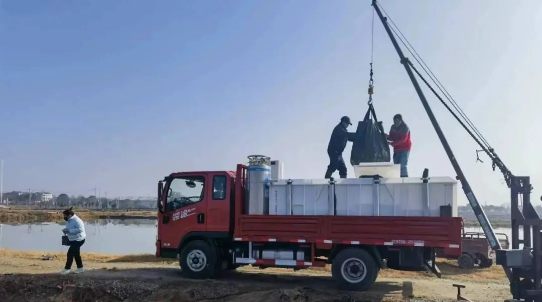 ng电子游戏(中国)官方网站