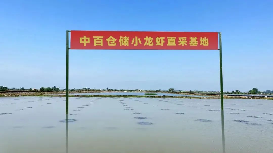 ng电子游戏(中国)官方网站