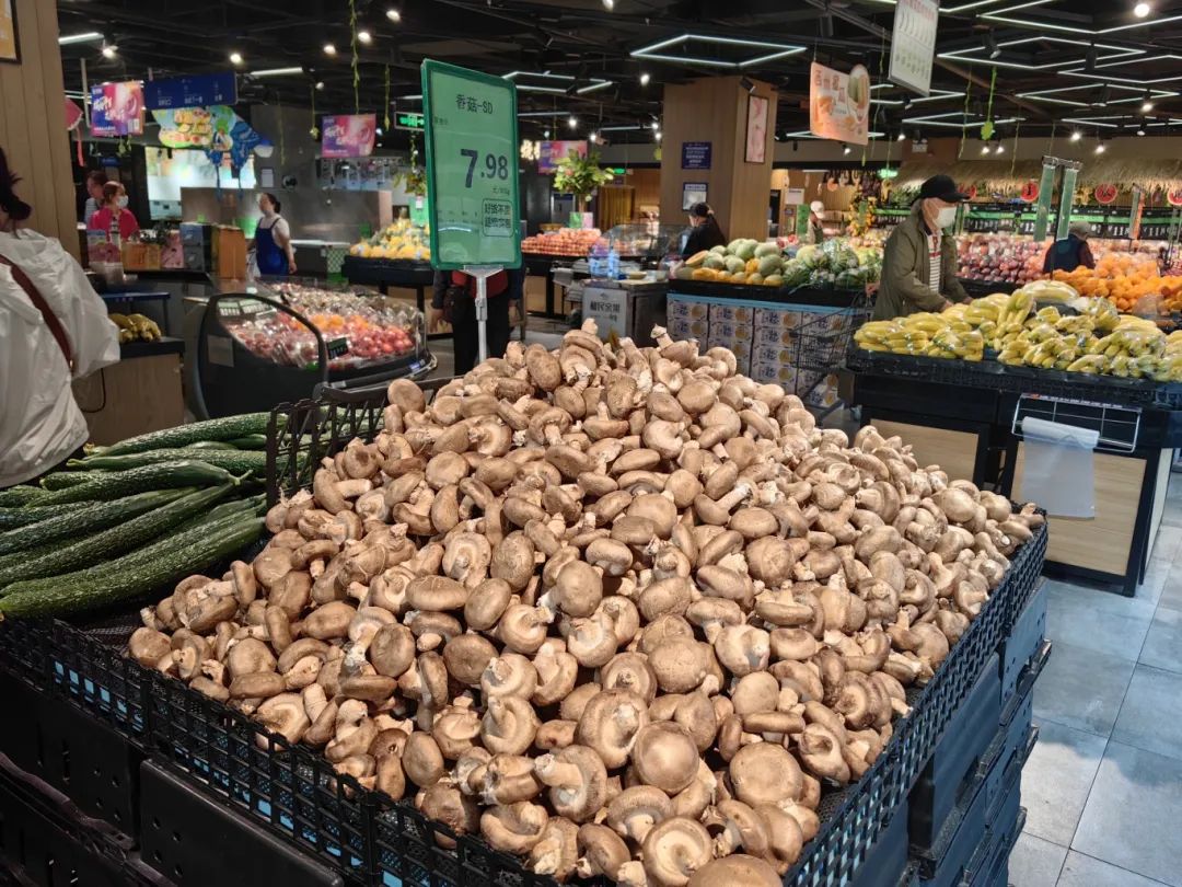 ng电子游戏(中国)官方网站