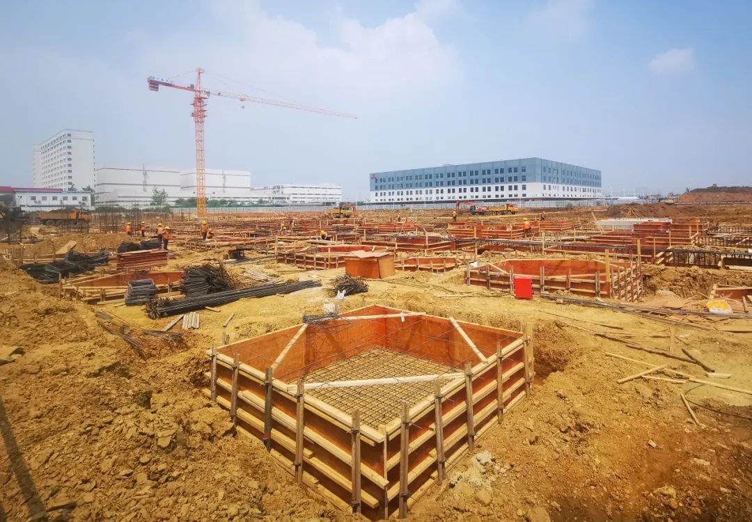 ng电子游戏(中国)官方网站