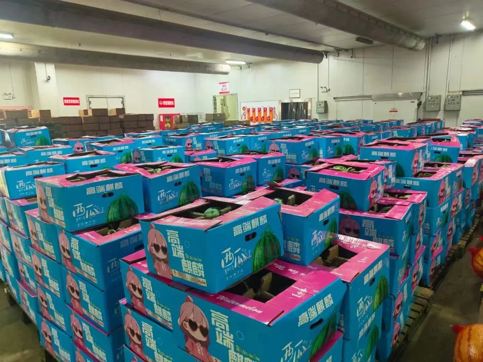 ng电子游戏(中国)官方网站