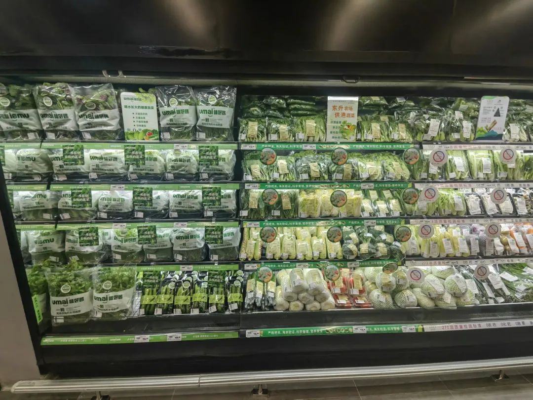 ng电子游戏(中国)官方网站