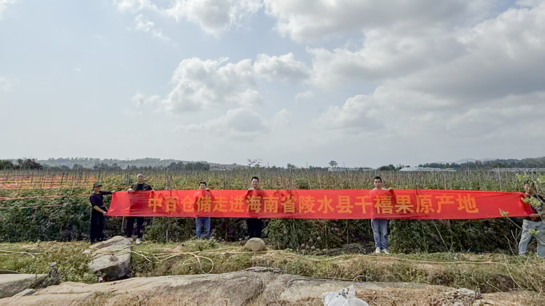 ng电子游戏(中国)官方网站