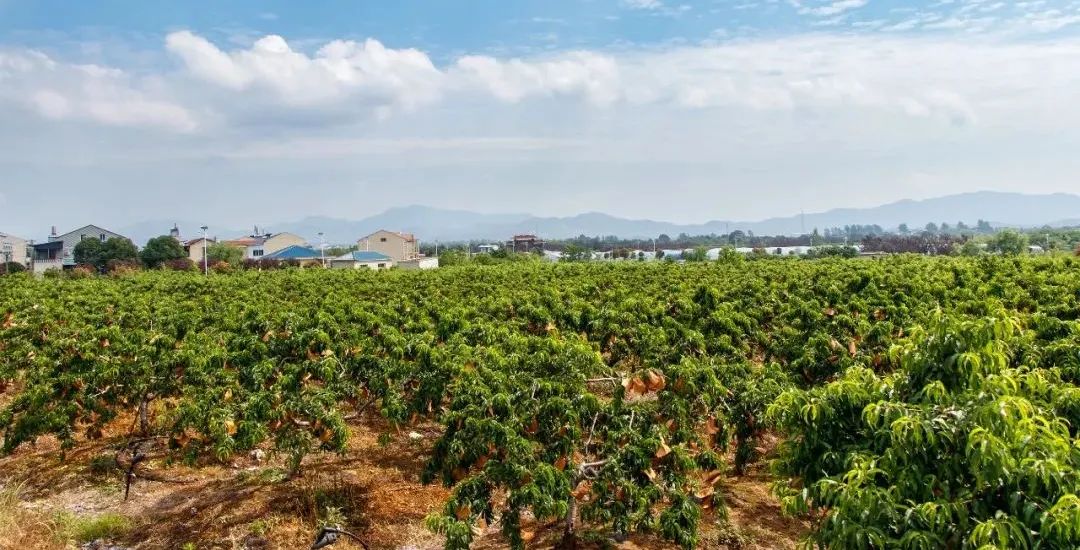 ng电子游戏(中国)官方网站