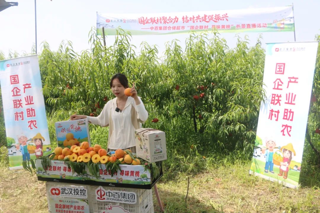 ng电子游戏(中国)官方网站