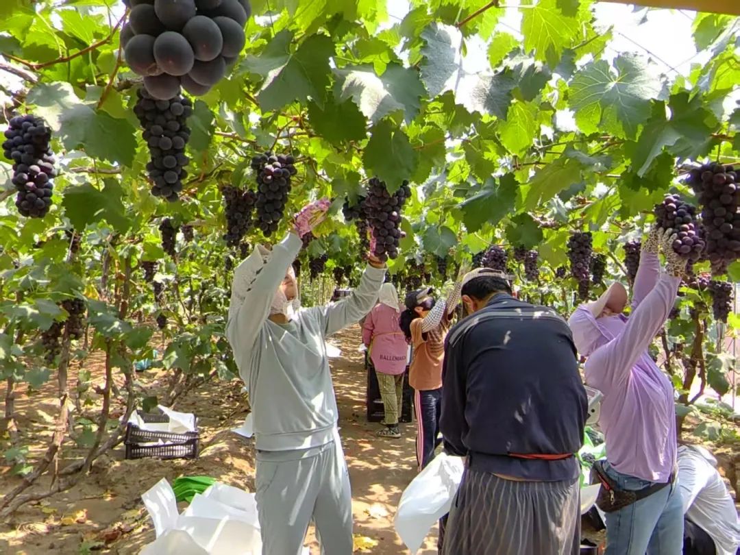 ng电子游戏(中国)官方网站