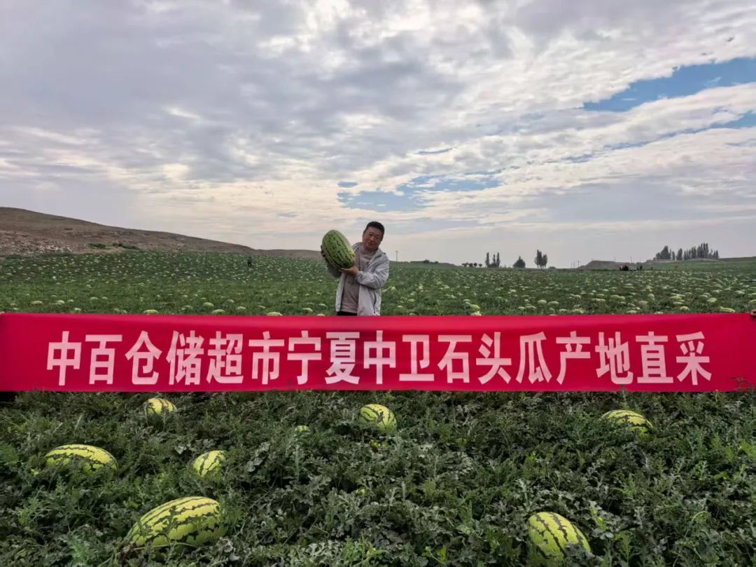 ng电子游戏(中国)官方网站