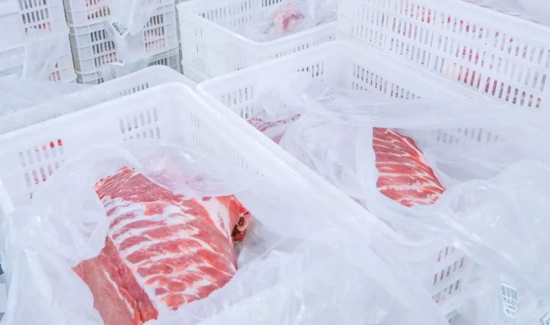 ng电子游戏(中国)官方网站