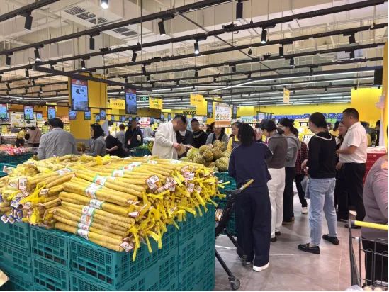 ng电子游戏(中国)官方网站