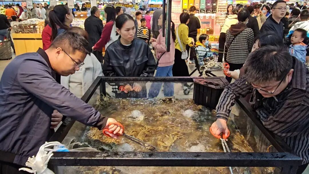 ng电子游戏(中国)官方网站