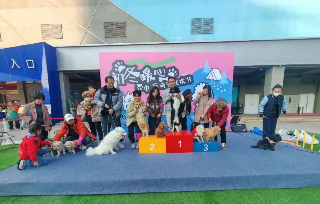 ng电子游戏(中国)官方网站